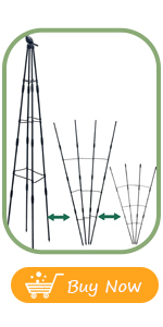 trellis