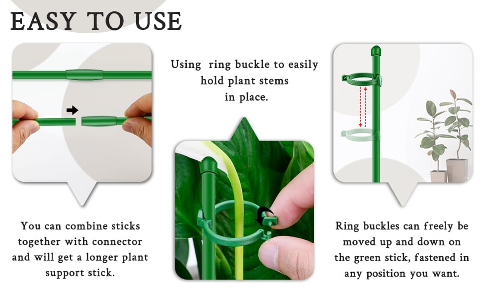 plant support sticks