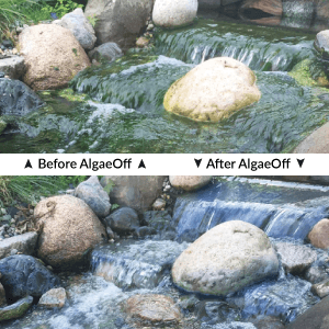 AlgaeOff Before after