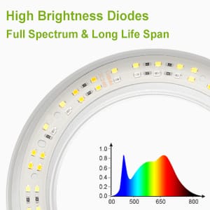 full spectrum grow light