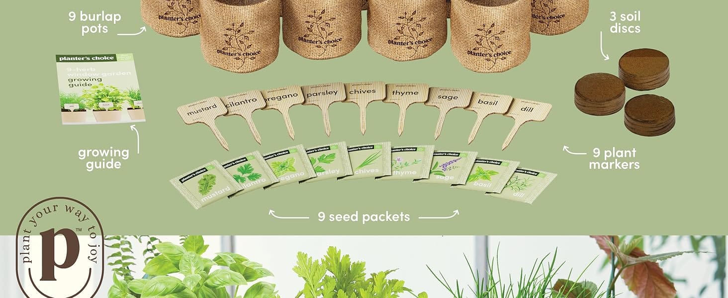 Smart people buy this for a discount once in a lifetime deal got 9 for the price of one sale