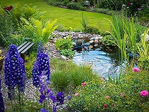 medium pond kits