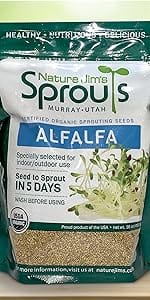 alfalfa wheat catgrass cat pet healthy broccoli clocer radish mung bean sprouts sprouting