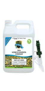 mice repellent