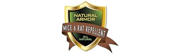 peppermint oil to repel mice and rats