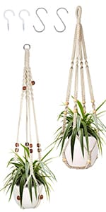 plant pot