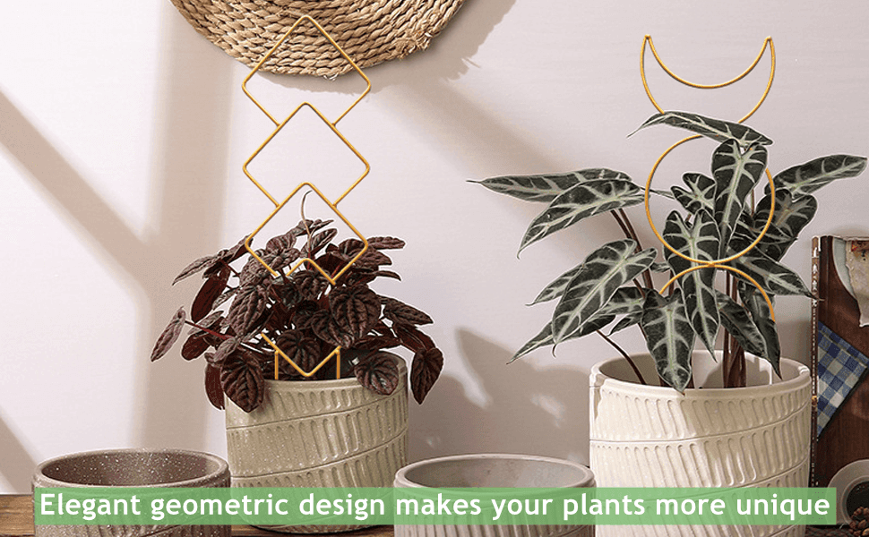 indoor trellis